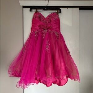 Cinderella Fuchsia Floral Embroidered Dress